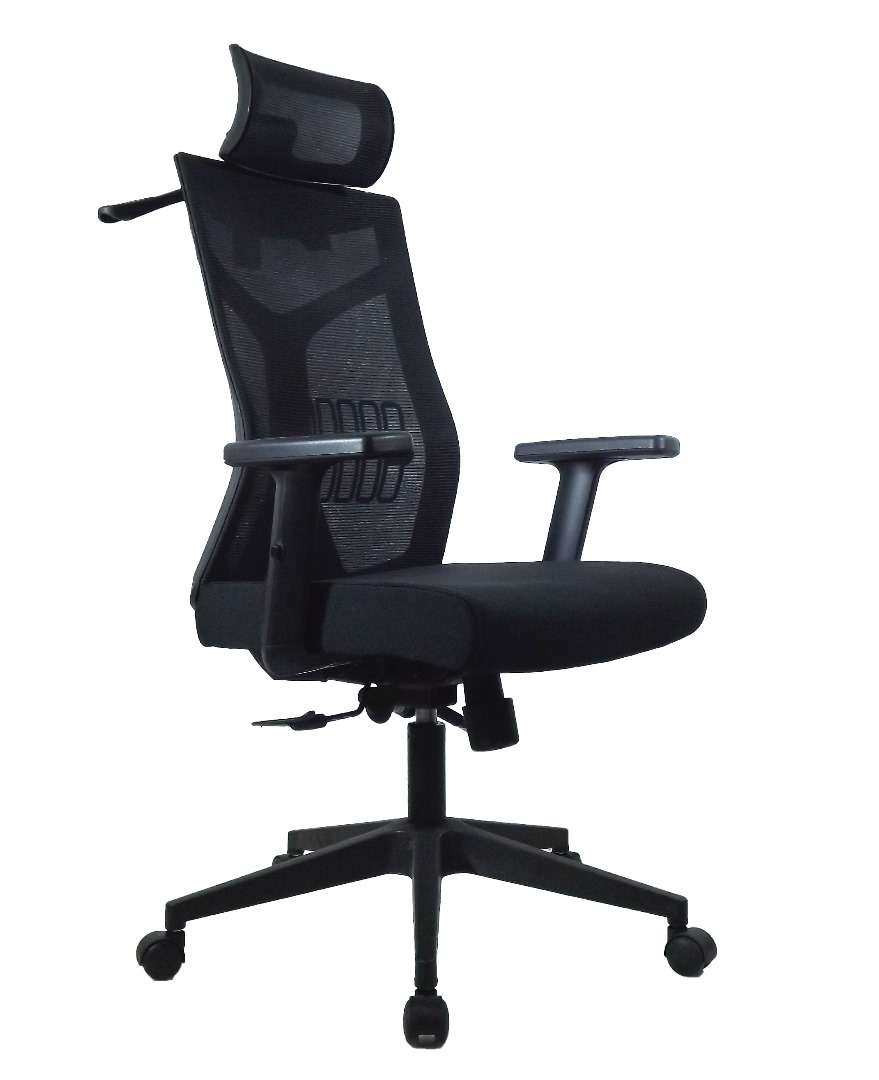 Ergonomic Chair PB-12